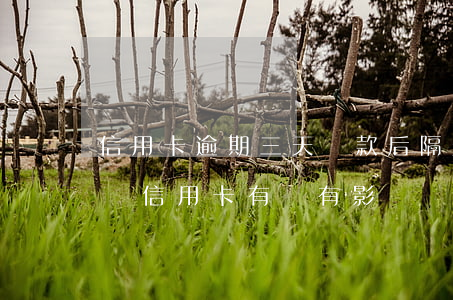 信用卡逾期三天還款后隔天才能用 逾期兩天還信用卡有沒有影響