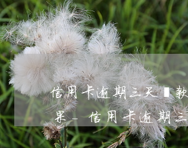 信用卡逾期三天還款會(huì)有什么后果-信用卡逾期三天還款會(huì)有什么后果嗎