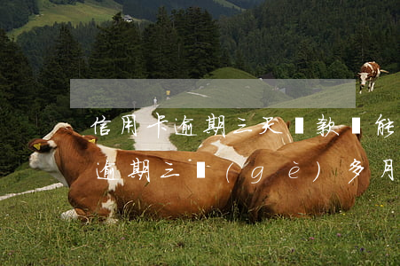 信用卡逾期三天還款還能取出來嗎 欠信用卡逾期三個(gè)多月了還錢會有什么影響
