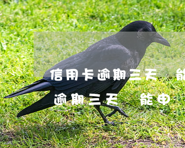 信用卡逾期三天還能申請信用卡嗎-信用卡逾期三天還能申請信用卡嗎知乎