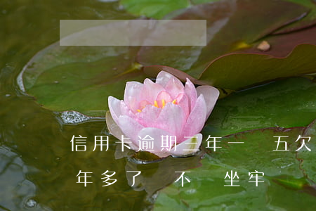 信用卡逾期三年一萬五 欠信用卡3萬逾期一年多了會不會坐牢