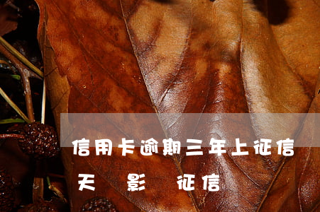 信用卡逾期三年上征信嗎(信用卡逾期2-3天會影響征信嗎)