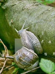 信用卡逾期三年不還會(huì)有什么后果-信用卡逾期三年不還會(huì)有什么后果嗎
