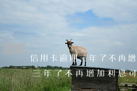 信用卡逾期三年了不再增加利息 信用卡逾期三年了不再增加利息可以嗎