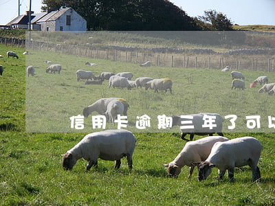 信用卡逾期三年了可以协商还款吗