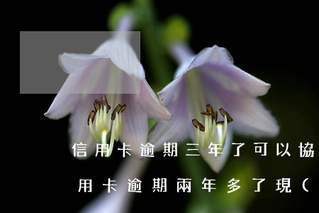 信用卡逾期三年了可以協(xié)商嗎(信用卡逾期兩年多了,現(xiàn)在怎么協(xié)商解決)