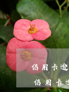信用卡逾期三年了咋辦-三年內(nèi)信用卡逾期3次