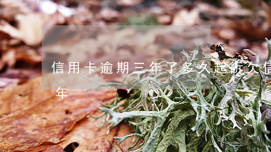 信用卡逾期三年了多久起訴(欠信用卡逾期三年)