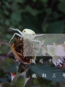 信用卡逾期三年了怎么還不起訴了-信用卡逾期三年了怎么還不起訴了呢
