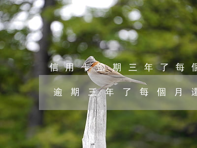 信用卡逾期三年了每個月還200-信用卡逾期三年了每個月還2000多
