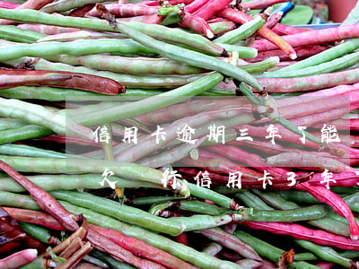 信用卡逾期三年了能協(xié)商還款嗎(欠銀行信用卡3年了,可以協(xié)商還款嗎)