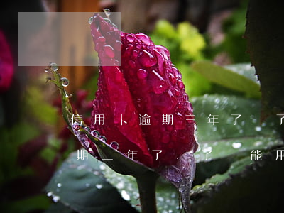 信用卡逾期三年了還了還能用嗎-信用卡逾期三年了還了還能用嗎怎么辦