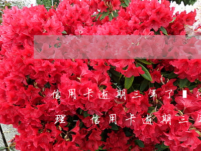 信用卡逾期三年了銀行會(huì)怎么處理-信用卡逾期三年了銀行會(huì)怎么處理呢