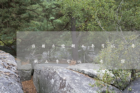 信用卡逾期三年可以報考駕照嗎-信用卡逾期三年可以報考駕照嗎嗎