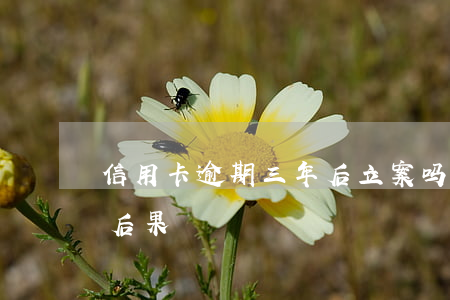 信用卡逾期三年后立案吗(信用卡逾期三十天后果)