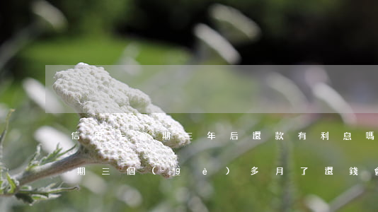 信用卡逾期三年后還款有利息嗎(欠信用卡逾期三個(gè)多月了還錢會(huì)有什么影響)