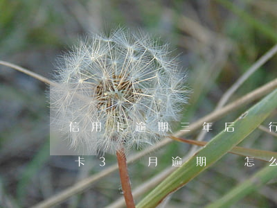 信用卡逾期三年后銀行怎么處理(欠銀行信用卡3個月逾期會怎么樣)