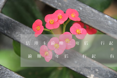 信用卡逾期三年后銀行起訴有用嗎-信用卡逾期三年后銀行起訴有用嗎知乎