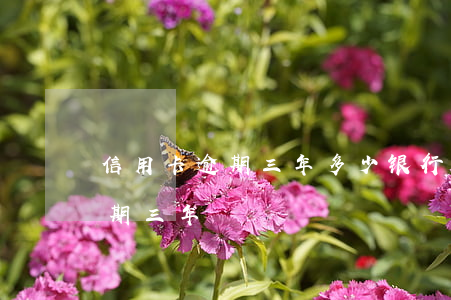 信用卡逾期三年多少银行信息港-信用卡 逾期三年