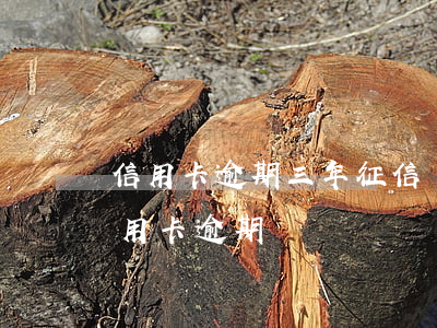 信用卡逾期三年征信還能洗白嗎-三年前信用卡逾期
