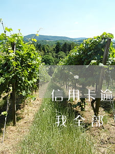 信用卡逾期三年怎么還錢(信用卡逾期3年后我全部還清)