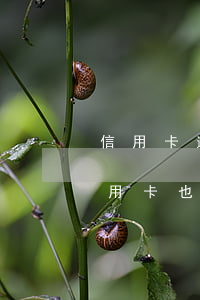 信用卡逾期三年會被判詐騙嗎(用了幾年的信用卡也算詐騙嗎)