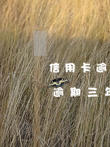 信用卡逾期三年有巨額利息嗎(有沒有信用卡逾期三年以上的)