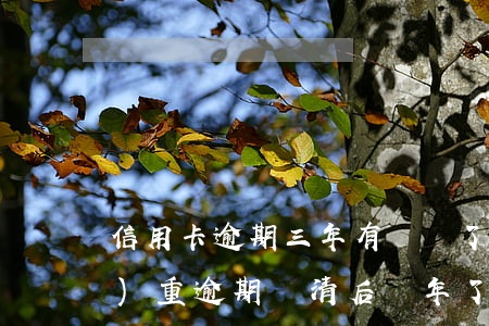 信用卡逾期三年有錢還了(信用卡嚴(yán)重逾期還清后兩年了)