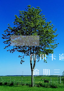 信用卡逾期三年沒(méi)漲利息(信用卡逾期三年沒(méi)還會(huì)怎么樣)