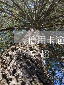 信用卡逾期三年沒能力還(信用卡逾期沒有還完超過三個(gè)月怎么樣)