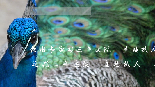 信用卡逾期三年法院會直接抓人嗎-信用卡逾期三年法院會直接抓人嗎知乎