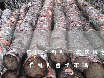 信用卡逾期三年法院會直接抓人嗎(3萬信用卡逾期會坐牢嗎)