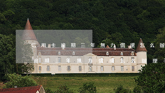 信用卡逾期三年無力償還怎么辦理-信用卡逾期三年無力償還怎么辦理手續(xù)