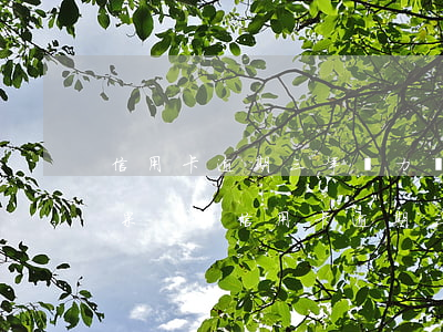 信用卡逾期三年無力償還最壞結(jié)果-欠信用卡逾期三年