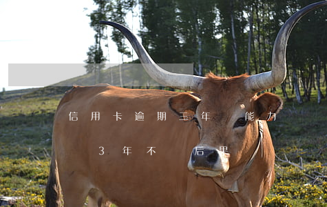 信用卡逾期三年無能力償還怎么辦(欠信用卡錢3年不還 后果)