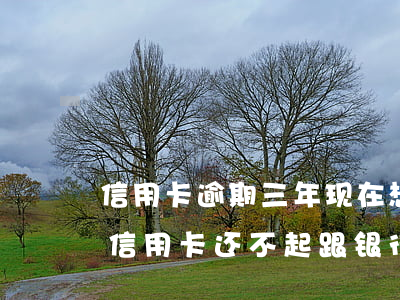 信用卡逾期三年现在想协商还-快逾期了欠信用卡还不起跟银行能有协商的可能性吗