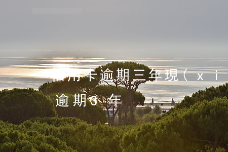 信用卡逾期三年現(xiàn)狀(欠信用卡逾期3年)