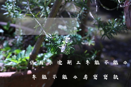 信用卡逾期三年能不能办房贷 信用卡逾期三年能不能办房贷贷款