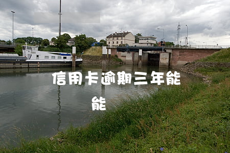 信用卡逾期三年能買車嗎(信用卡有逾期貸款買車能過嗎?)