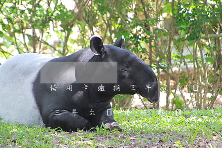 信用卡逾期三年被起訴了怎么辦(信用卡逾期三年六個月被起訴了怎么辦)