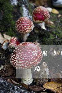 信用卡逾期三年被追究(信用卡逾期3個月被起訴)