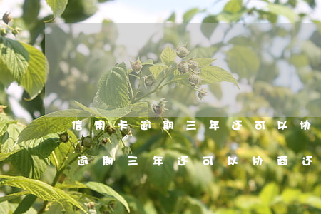 信用卡逾期三年还可以协商还款吗-信用卡逾期三年还可以协商还款吗知乎