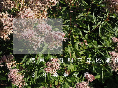 信用卡逾期三年还能出境吗(信用卡2万逾期3年会坐牢吗)