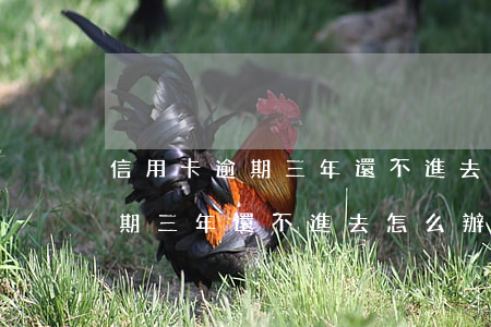 信用卡逾期三年還不進去怎么辦-信用卡逾期三年還不進去怎么辦呢