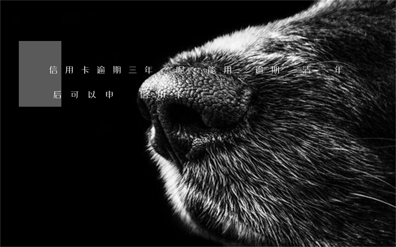 信用卡逾期三年還呢還能用嗎(逾期還清兩年后可以申請信用卡嗎)