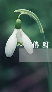 信用卡逾期三年還本息（信用卡逾期三年還本）