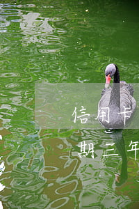 信用卡逾期三年還能減免利息么(交通銀行逾期三年,怎么申請減免利息)
