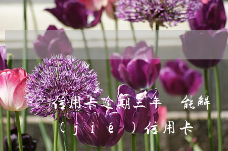 信用卡逾期三年還能解凍嗎(逾期多久會凍結(jié)信用卡)