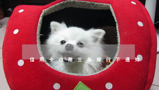 信用卡逾期三年銀行不通知