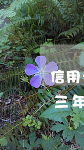 信用卡逾期三年銀行起訴你嗎(我信用卡逾期三年了不起訴我為什么)